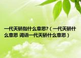 一代天骄指什么意思?（一代天骄什么意思 词语一代天骄什么意思）