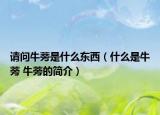 请问牛蒡是什么东西（什么是牛蒡 牛蒡的简介）