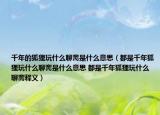 千年的狐狸玩什么聊斋是什么意思（都是千年狐狸玩什么聊斋是什么意思 都是千年狐狸玩什么聊斋释义）
