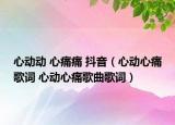 心动动 心痛痛 抖音（心动心痛歌词 心动心痛歌曲歌词）