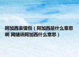 阿加西表情包（阿加西是什么意思啊 网络语阿加西什么意思）