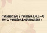半夜鲤鱼吃食吗（半夜鲤鱼来上滩上一句是什么 半夜鲤鱼来上滩的原文及翻译）