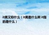 it男又称什么（it男是什么啊 it指的是什么）