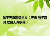 弦子天真歌词含义（天真 弦子歌词 歌曲天真歌词）