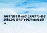 黄鸟于飞集于灌木的于（黄鸟于飞中的于是什么意思 黄鸟于飞中的于的意思是什么）