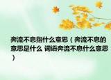 奔流不息指什么意思（奔流不息的意思是什么 词语奔流不息什么意思）