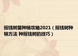 摇钱树苗种植攻略2021（摇钱树种植方法 种摇钱树的技巧）