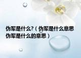 伪军是什么?（伪军是什么意思 伪军是什么的意思）