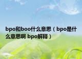 bpo和boo什么意思（bpo是什么意思啊 bpo解释）