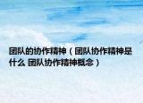 团队的协作精神（团队协作精神是什么 团队协作精神概念）