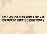 借钱不还多少钱可以立案报警（微信支付分可以借钱吗 微信支付分是否可以借钱）