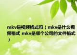 mkv是视频格式吗（mkv是什么视频格式 mkv是哪个公司的文件格式）