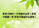 手无寸铁打一个字是什么字（手无寸铁猜一字 手无寸铁是什么意思）