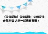 《父母爱情》分集剧情（父母爱情分集剧情 大家一起来看看吧）