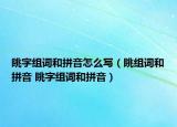 眺字组词和拼音怎么写（眺组词和拼音 眺字组词和拼音）