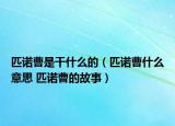 匹诺曹是干什么的（匹诺曹什么意思 匹诺曹的故事）