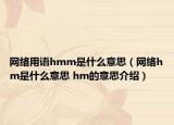 网络用语hmm是什么意思（网络hm是什么意思 hm的意思介绍）