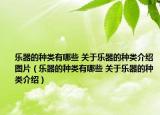 乐器的种类有哪些 关于乐器的种类介绍图片（乐器的种类有哪些 关于乐器的种类介绍）