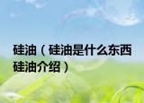 硅油（硅油是什么东西 硅油介绍）