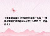 十里平湖霜满天 寸寸青丝愁华年什么歌（十里平湖霜满天寸寸青丝愁华年什么意思 下一句是什么）