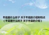 冬菇是什么样子 关于冬菇的介绍和特点（冬菇是什么样子 关于冬菇的介绍）