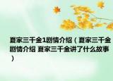夏家三千金1剧情介绍（夏家三千金剧情介绍 夏家三千金讲了什么故事）