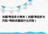衣服l号是多少厘米（衣服l号是多大尺码 l号的衣服是什么尺码）
