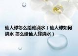 仙人球怎么给他浇水（仙人球如何浇水 怎么给仙人球浇水）