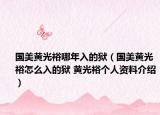 国美黄光裕哪年入的狱（国美黄光裕怎么入的狱 黄光裕个人资料介绍）