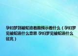 孕妇梦到被蛇追着跑预示着什么（孕妇梦见被蛇追什么意思 孕妇梦见被蛇追什么征兆）