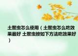 土鳖虫怎么使用（土鳖虫怎么吃效果最好 土鳖虫按如下方法吃效果好）