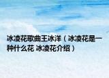冰凌花歌曲王冰洋（冰凌花是一种什么花 冰凌花介绍）