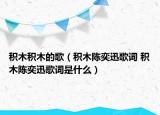积木积木的歌（积木陈奕迅歌词 积木陈奕迅歌词是什么）