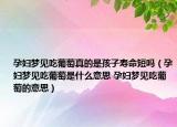孕妇梦见吃葡萄真的是孩子寿命短吗（孕妇梦见吃葡萄是什么意思 孕妇梦见吃葡萄的意思）