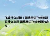 飞蝗什么成语（网络用语飞蝗芜湖是什么意思 网络用语飞蝗芜湖的含义）