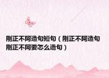 刚正不阿造句短句（刚正不阿造句 刚正不阿要怎么造句）