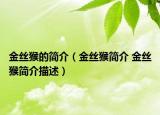 金丝猴的简介（金丝猴简介 金丝猴简介描述）