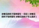 迎春花的样子简单描写 一段话（迎春花的样子如何描写 迎春花的样子怎么描述）