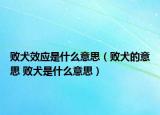 败犬效应是什么意思（败犬的意思 败犬是什么意思）