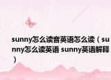 sunny怎么读音英语怎么读（sunny怎么读英语 sunny英语解释）