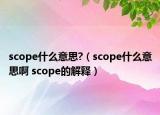 scope什么意思?（scope什么意思啊 scope的解释）