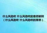什么风劲吹 什么风劲吹的意思解释（什么风劲吹 什么风劲吹的意思）