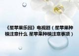 《星苹果乐园》电视剧（星苹果种植注意什么 星苹果种植注意事项）