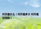 对开是什么（对开是多大 对开是怎样的）