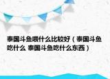 泰国斗鱼喂什么比较好（泰国斗鱼吃什么 泰国斗鱼吃什么东西）