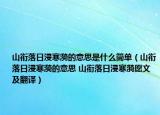 山衔落日浸寒漪的意思是什么简单（山衔落日浸寒漪的意思 山衔落日浸寒漪愿文及翻译）