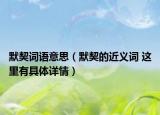 默契词语意思（默契的近义词 这里有具体详情）