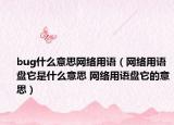 bug什么意思网络用语（网络用语盘它是什么意思 网络用语盘它的意思）