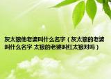灰太狼他老婆叫什么名字（灰太狼的老婆叫什么名字 太狼的老婆叫红太狼对吗）