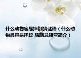 什么动物容易摔倒猜谜语（什么动物最容易摔跤 脑筋急转弯简介）